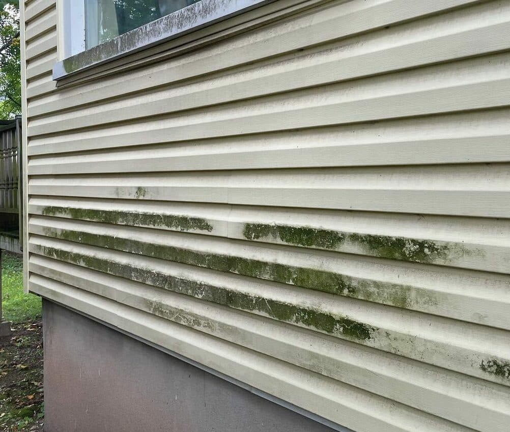 Before — Exterior cleaning siding before and after in Grimsby