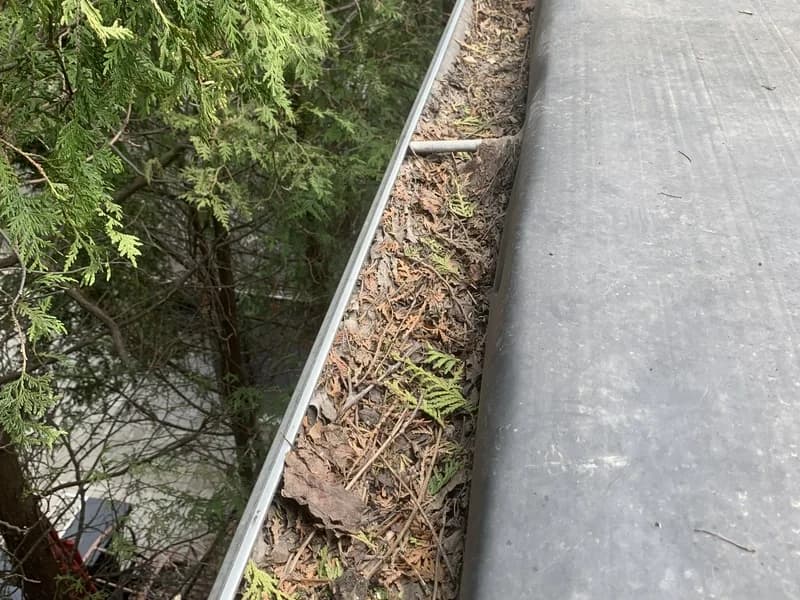 Before — Gutter cleaning before and after in St. Catharines