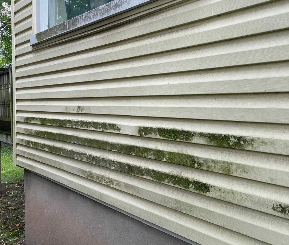 Before — Vinyl siding soft washing before and after in Grimsby