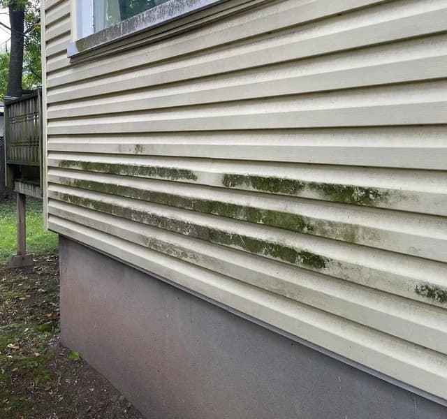 Before — Exterior cleaning siding before and after in St. Catharines