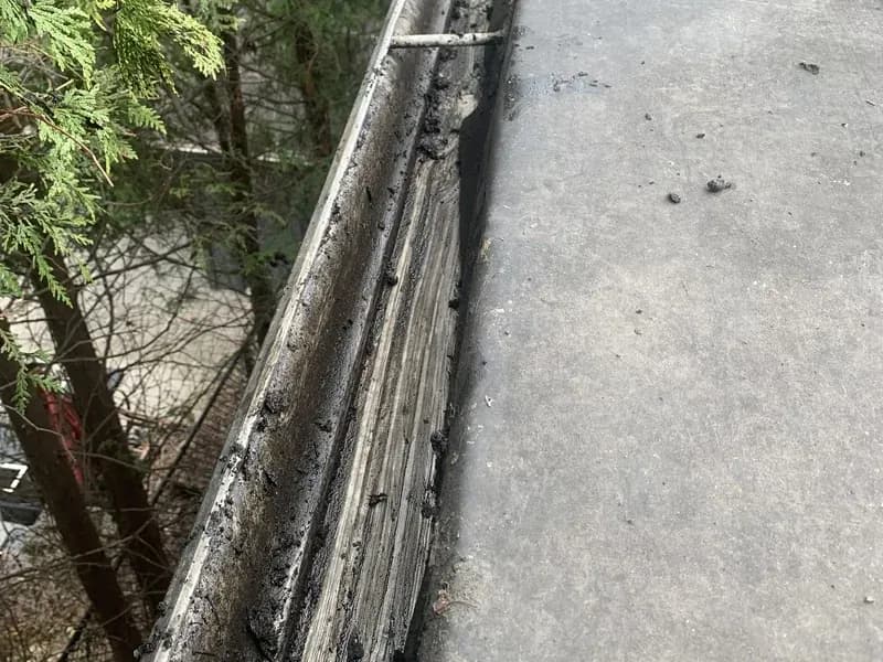 After — Gutter cleaning before and after in Stoney Creek, Hamilton