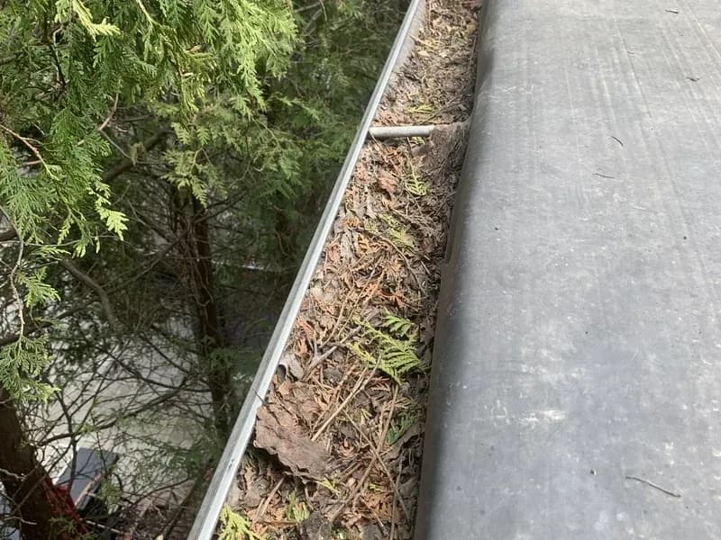 Before — Gutter cleaning before and after in Stoney Creek, Hamilton