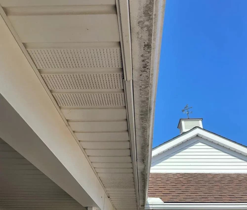 Before — Eavestrough soft washing before and after in Ancaster, Hamilton