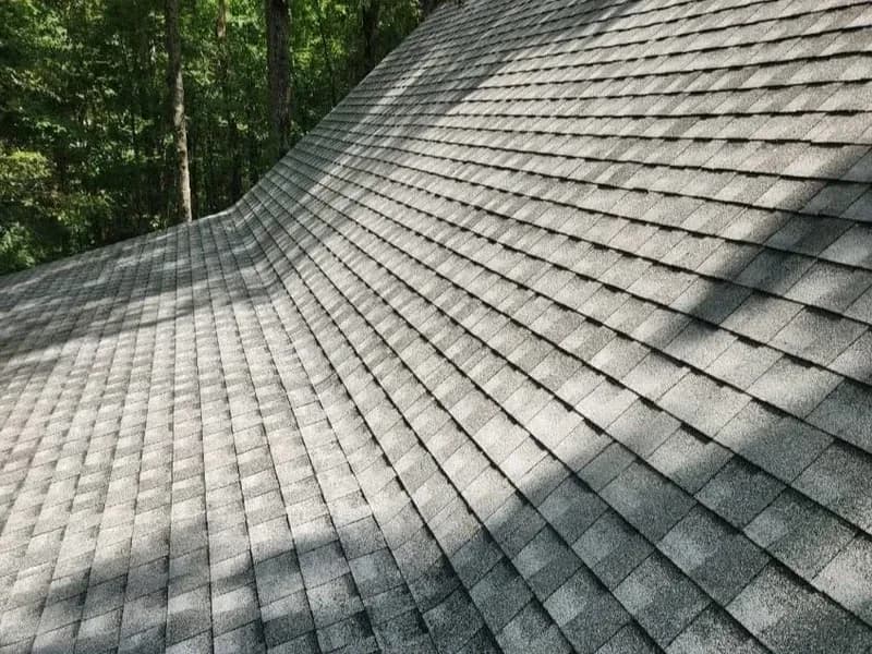 After — Roof soft washing before and after — moss and lichen removal in Dundas, Hamilton