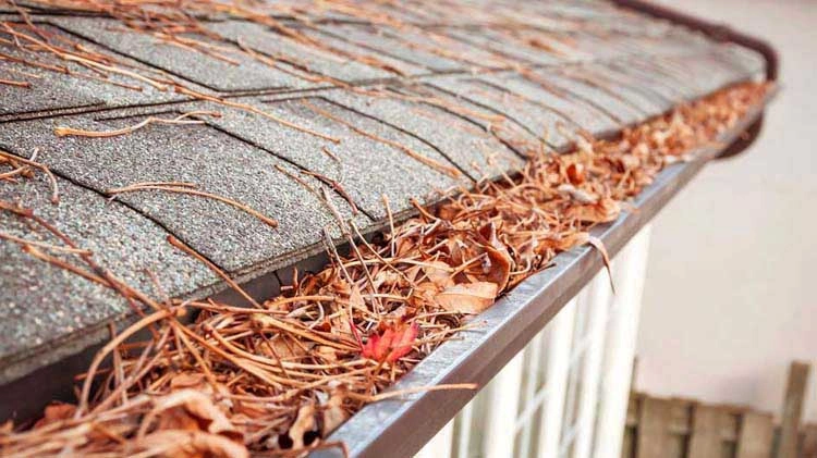 Gutter full of leaves before cleaning services in Grimsby