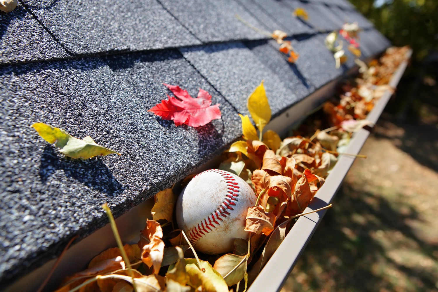 Gutter full of leaves and debris