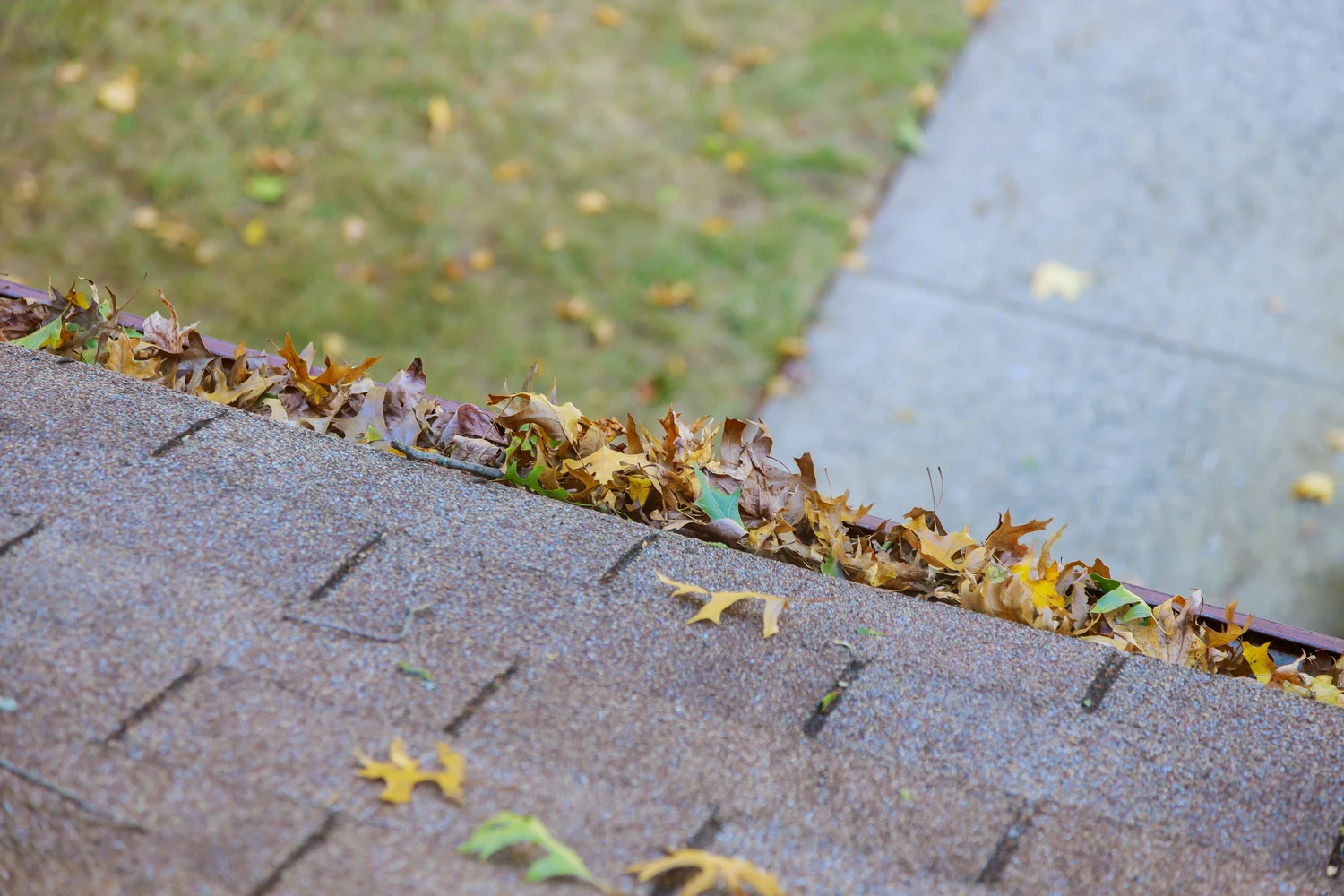 Roof covered in leaves with an overflowing gutter